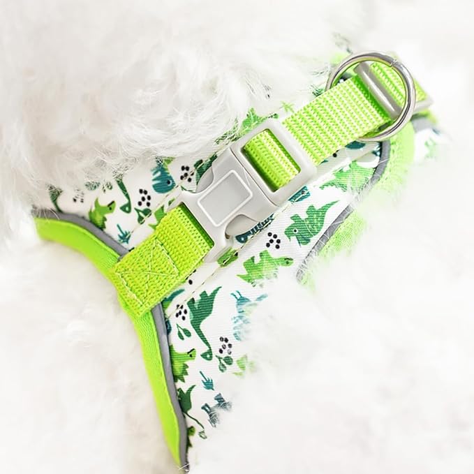 Step in Dog Harness and Leash Set, Flower Adjustable Easy Walk Puppy Harnesses, Soft Mesh Pet Vest Harness Small Size Dog Adjustable No Pull Dog Harness for Small Dogs and Cats(Dinosaur, XS)