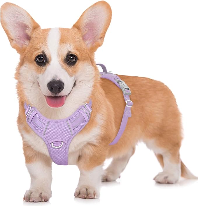 BARKBAY No Pull Dog Harness Large Reflective Dog Harness with Front Clip and Easy Control Handle for Walking Training Running with ID tag Pocket(Violet Purple,M)