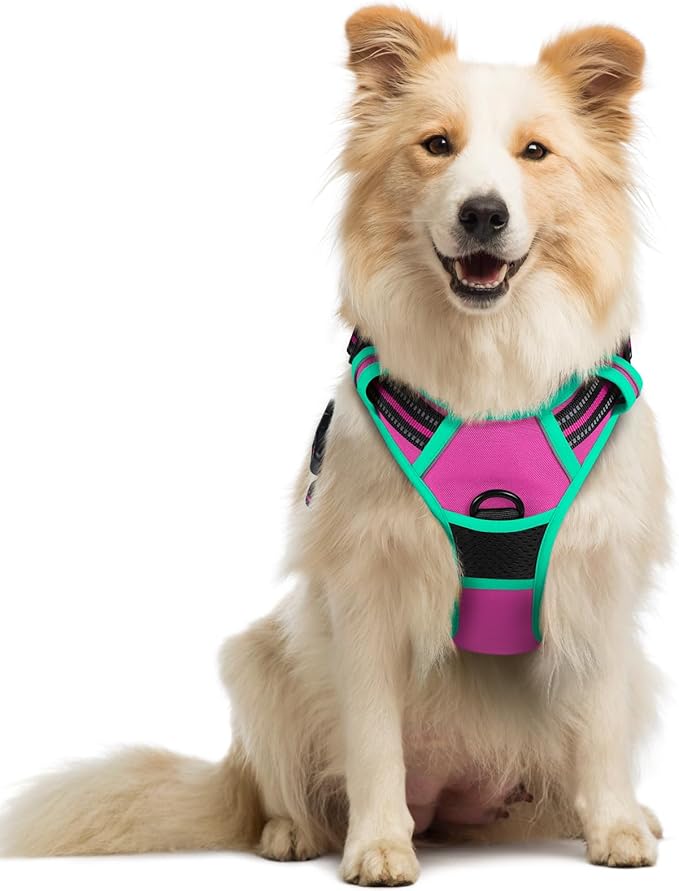 rabbitgoo Dog Harness No Pull with 2 Leash Clips, Adjustable Soft Padded, Reflective Oxford No Choke Pet Vest with Easy Control Handle for Large Dogs, Hot Pink & Turquoise, M