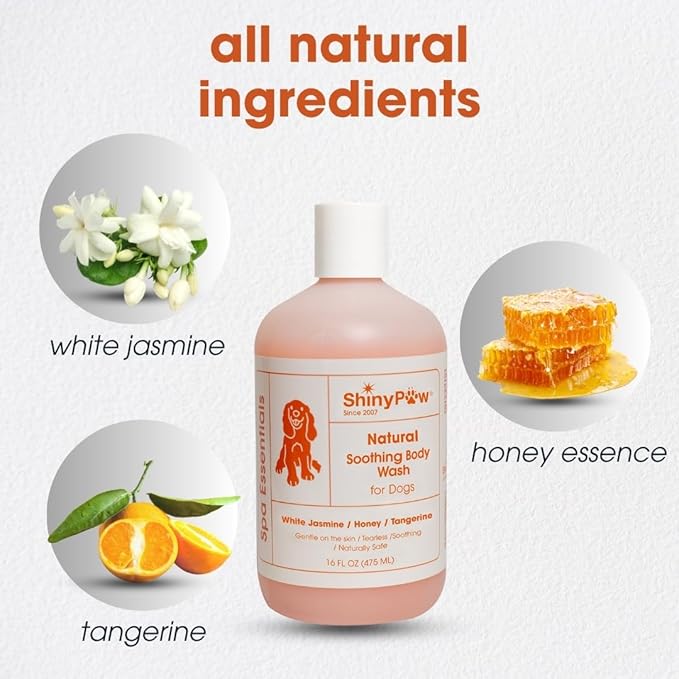 Jasmine & Honey Spa Body Wash for Dogs by Shiny Paw 16 oz | Dog Itchy Skin Relief & Aging Coat | Hypoallergenic Dog Shampoo for Smelly Dogs | Made in USA