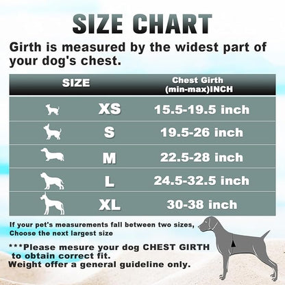 BARKBAY No Pull Dog Harness Large Reflective Dog Harness with Front Clip and Easy Control Handle for Walking Training Running with ID tag Pocket(Black,XS)
