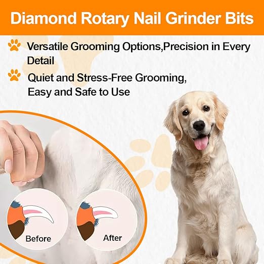 Diamond Rotary Pet Nail Grinder Replacement Heads Dog Nail Grinder Bit-BGTEC 5PCS 1/8" Diamond Replaceable Tip for Pet Claw Grooming(D)