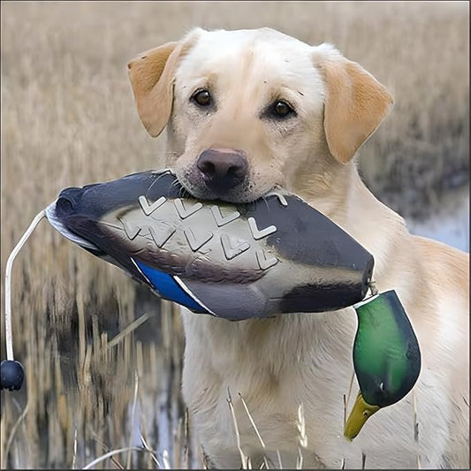 2 Pcs Duck Dummy Bumper Toys for Hunting Retriever Dog Training, Dog Retriever Outdoor Training Toy ，Hunting Duck Recognition Trainers, Foam Pet Interactive Toys