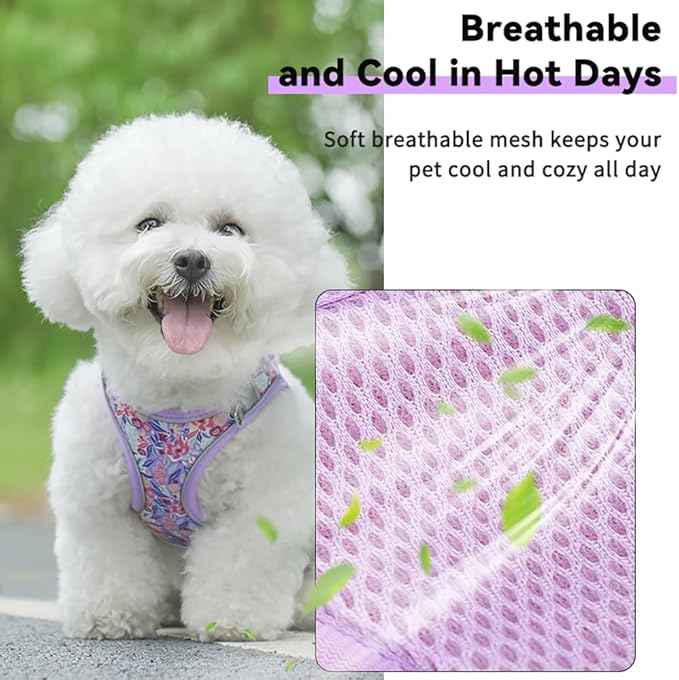 Step in Dog Harness and Leash Set, Flower Adjustable Easy Walk Puppy Harnesses, Soft Mesh Pet Vest Harness Small Size Dog Adjustable No Pull Dog Harness for Small Medium Dogs(Pink, S)