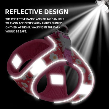 Step-in Dog Harness and Leash Set, Purple, Small/Medium, Floral Pattern, 360-Degree Reflective Design for Low Light Safety