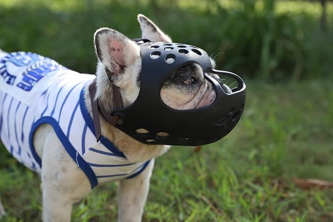 Short Snout Dog Muzzles,Soft Silicone Adjustable Breathable Bulldog Muzzle for Biting Chewing Barking Training,Ideal for Flat-Faced Dogs (Large/15-17" (Pack of 1), Black)