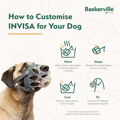 Baskerville INVISA Basket Dog Muzzle - Patented Humane Design with Facial Visibility, Padded Nose Band, Dog can Pant and Drink, Prevents Biting and Scavenging. Muzzle for Medium-sized Dogs (Size 3)