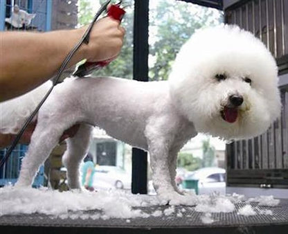 Detachable Dog Clipper Blades Compatible with Andis Oster A5 Wahl KM Series Clipper Made of Stainless Steel Blade