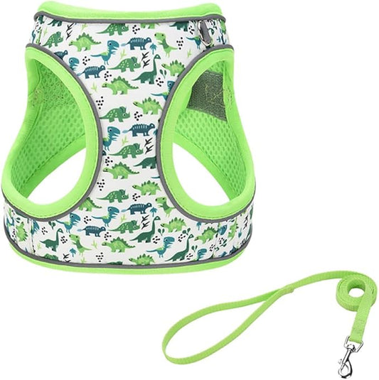 Step in Dog Harness and Leash Set, Flower Adjustable Easy Walk Puppy Harnesses, Soft Mesh Pet Vest Harness Small Size Dog Adjustable No Pull Dog Harness for Small Dogs and Cats(Dinosaur1, XS)