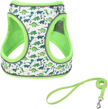 Step in Dog Harness and Leash Set, Flower Adjustable Easy Walk Puppy Harnesses, Soft Mesh Pet Vest Harness Small Size Dog Adjustable No Pull Dog Harness for Small Medium Dogs(Dinosaur1, M)
