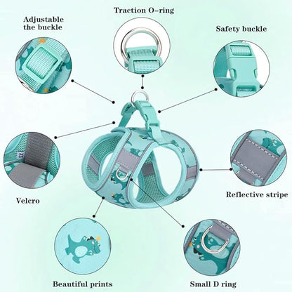 Step in Dog Harness and Leash Set, Flower Adjustable Easy Walk Puppy Harnesses, Soft Mesh No Pull Pet Vest Harness for Small Dogs and Cats(Beige, XXS)