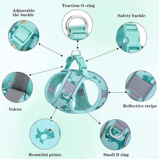 Step in Dog Harness and Leash Set, Flower Adjustable Easy Walk Puppy Harnesses, Soft Mesh No Pull Pet Vest Harness for Small Dogs and Cats(Beige, XXS)