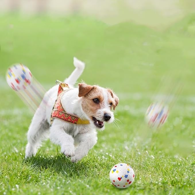 Dog Balls for Dogs:6 Pack 2.3 Inch Balls Compatible with Ball Launchers, for Puppy Dogs Medium Playing Exercise and Practice