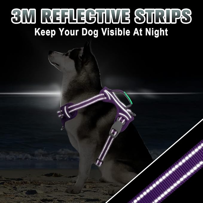 BARKBAY No Pull Dog Harness Large Reflective Dog Harness with Front Clip and Easy Control Handle for Walking Training Running with ID tag Pocket(Purple,S)