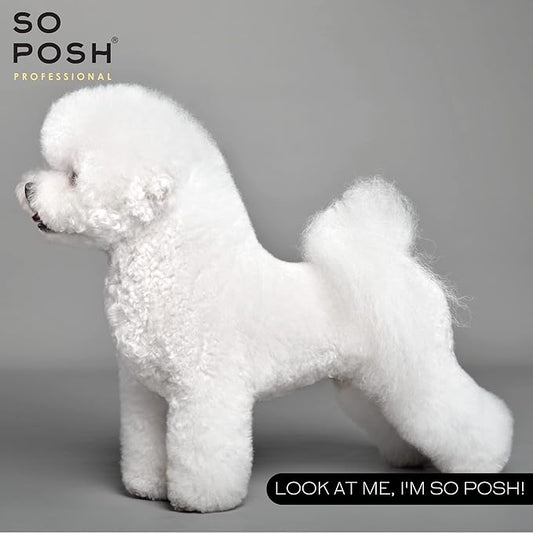 So White Dog Shampoo - with Coconut Oil, Brightens White Coats, Moisturizing & Nourishing, Sulfate, Ammonia & Paraben Free. 8.4 Oz