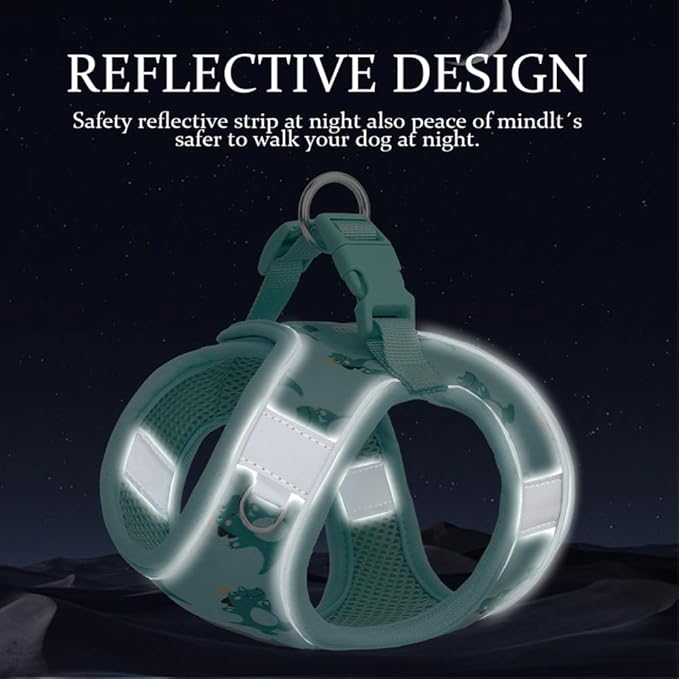 Step in Dog Harness and Leash Set, Flower Adjustable Easy Walk Puppy Harnesses, Soft Mesh No Pull Pet Vest Harness for Small Medium Dogs(Beige, M)