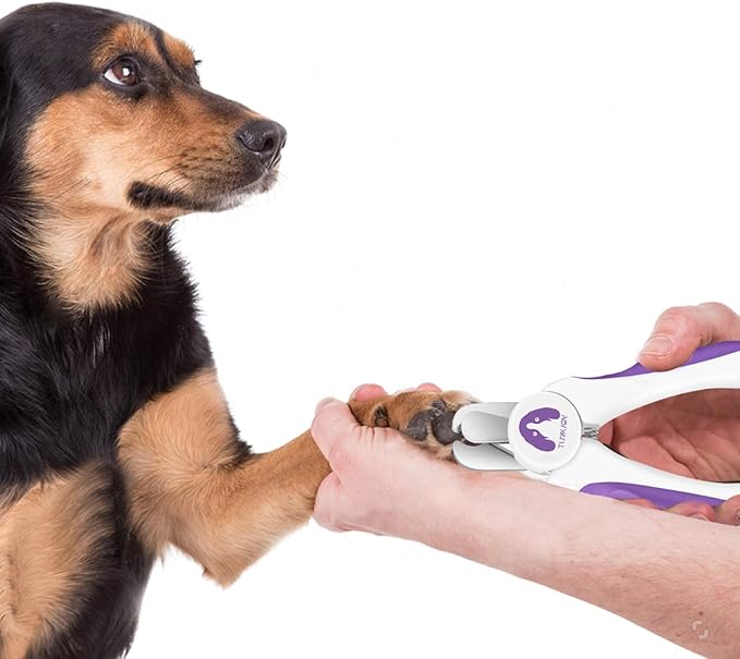 Dog Nail Clippers and Trimmers,Professional Grooming Tool with Safety Guard to Avoid Over Cutting,Free Nail File,Razor Sharp Blade,Sturdy Non Slip Handles for Large and Small Animals (Purple)
