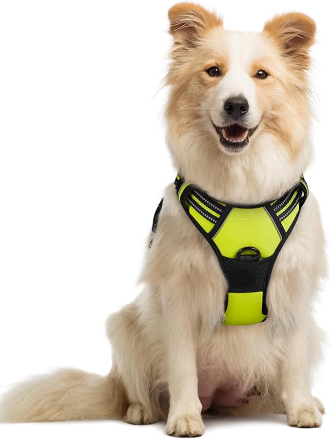 rabbitgoo Dog Harness No Pull with 2 Leash Clips, Adjustable Soft Padded, Reflective Oxford No Choke Pet Vest with Easy Control Handle for Medium Sized Dogs, Green, M