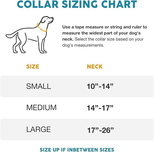 Embark Urban Dog Collar – Dog Collar Stylish & Durable Nylon Dog Collar for Large Dogs, Small Dogs & Medium Dogs.Comfortable Pet Collar Strong Buckles for Any Size Breed (Aztec, Small)