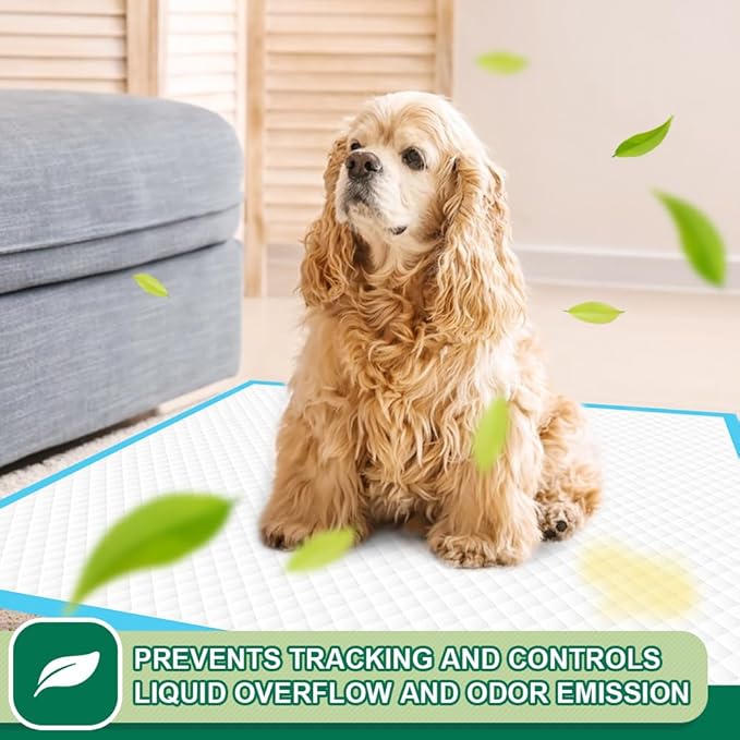 IMMCUTE Puppy Pee Pads 22"x23" | Dog Pee Training Pads Super Absorbent & Leak-Proof | Disposable Pet Piddle and Potty Pads for Puppies | Dogs | Doggie| Cats | Rabbits (Regular, Count, 14)
