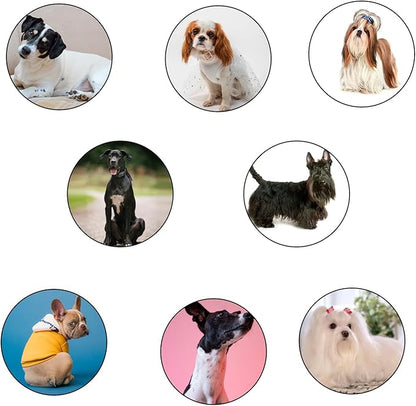 Professional Animal Pet Dog Cat and Horse Cordless Hair Clipper Grooming Kit with 5 in 1 Blade