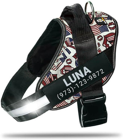 Personalized No-Pull Dog Harness with Name Patch, Adjustable, Reflective, Padded, Heavy Duty Pet Vest to Prevent Tugging, Pulling, or Choking, Training and Walking, USA, L