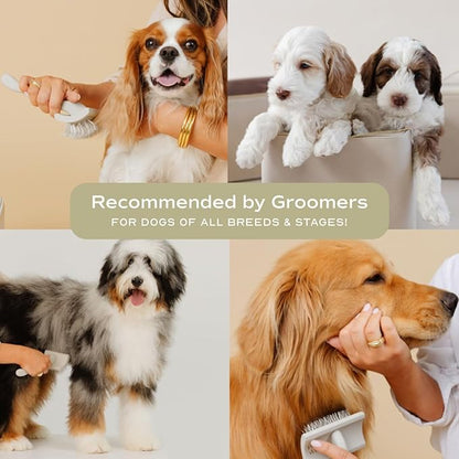 Stainless Steel Metal Everyday Dog Comb for Grooming and Removing Tangles and Knots with Rounded Teeth and Good for All Dogs