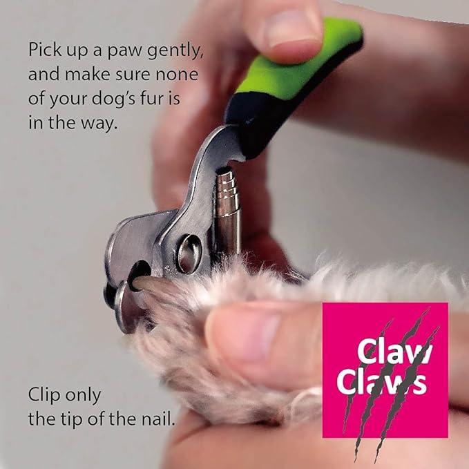 Dog Nail Trimmers for Medium Dog and Cat, with Protective Guard to Avoid Over-Cutting, Stainless Steel Blades and Anti-Slip Handle, Professional Grooming Scissors