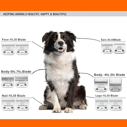 2Pack 30 Blade Dog Grooming Clipper Blades Compatible with Andis/Wahl/Oster Dog Clippers,Detachable Stainless Steel Blade,Size-30, 1/50-Inch Cut Length (64260)