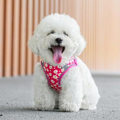 Step in Dog Harness and Leash Set, Flower Adjustable Easy Walk Puppy Harnesses, Soft Mesh Pet Vest Harness Small Size Dog Adjustable No Pull Dog Harness for Small Medium Dogs(Rose red, M)
