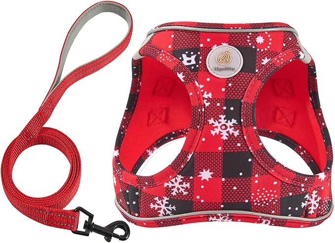Christmas Dog Harness and Leash Set, No Pull Soft Mesh Puppy Harness for Small Medium Dogs, Cats - Step in Reflective Vest Harness for Walking, Training - Christmas Red, XXS