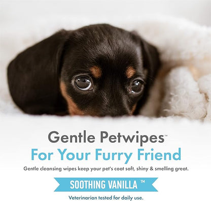 Petkin Hemp Pet Wipes for Dogs and Cats - with Hemp Oil & Soothing Vanilla Scent, 200 Count - Soothes, Calms & Conditions - Wipes for Pet's Face, Eyes and Body - for Home or Travel