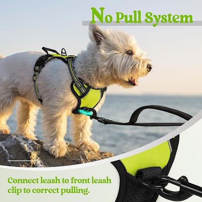 rabbitgoo Dog Harness No Pull with 2 Leash Clips, Adjustable Soft Padded, Reflective Oxford No Choke Pet Vest with Easy Control Handle for Puppy, Green, XS