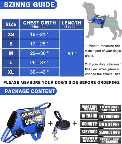 Service Dog Vest Harness and Leash Set+10 Patches for Puppy Small Dogs,Do Not Pet Emotional Support Dog Vest with 2 Soft Padded Handle for Everyday/Training (Blue XS)