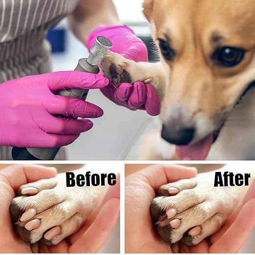 Diamond Dog Nail Grinder Bits - FOCSTOL Diamond Rotory Bit for Dogs&Pets, 1/8'' Rotary Nail Grinder Bits for Animals Nail Care (Type C)