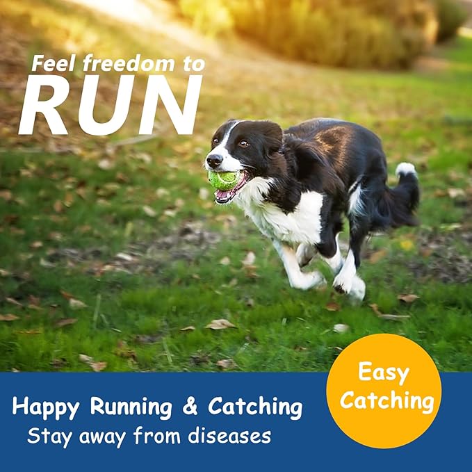 Tennis Ball for Dog Pack of 50 Colorful Easy Catching Pet Dog Ball (2.5inch-4colors)