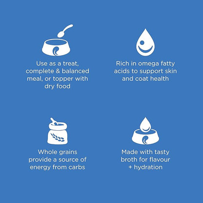 GO! SOLUTIONS Skin + Coat Care Wet Dog Food - Shredded Chicken Recipe with Grains - Complete & Balanced Nutrition for All Life Stages, 12.5 oz (Pack of 4)