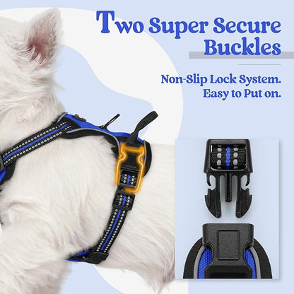 rabbitgoo Dog Harness No Pull with 2 Leash Clips, Adjustable Soft Padded, Reflective Oxford No Choke Pet Vest with Easy Control Handle for Puppy, Dazzling Blue,XS