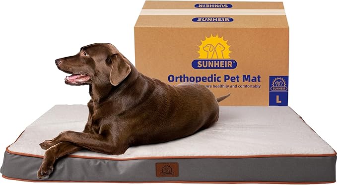 Orthopedic Dog Bed for Large Dogs, Large Dog Bed with Removable Waterproof Cover and Machine Washable Dog Bed, Egg Crate Foam Pet Bed Mat, L(35"X22"X3"), Light Grey