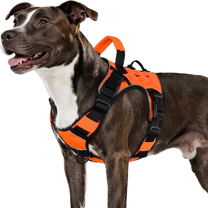 WINGOIN Orange Tactical Dog Harness for Medium Dogs, Heavy Duty No Pull Dog Harness with Handle, Adjustable Reflective Military K9 Pet Vest for Pitbull, Female, Male, Walking, Training, Hunting (M)