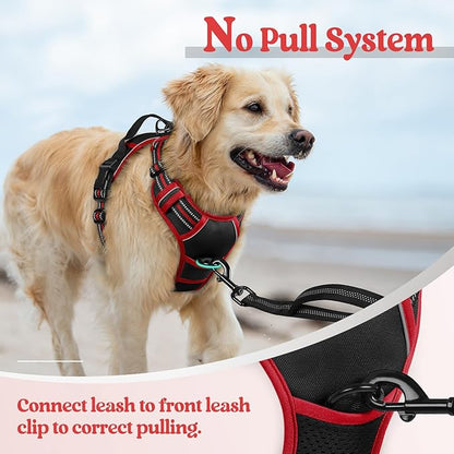 rabbitgoo Dog Harness No Pull with 2 Leash Clips, Adjustable Soft Padded, Reflective Oxford No Choke Pet Vest with Easy Control Handle for Small Dogs, Black & Red, S