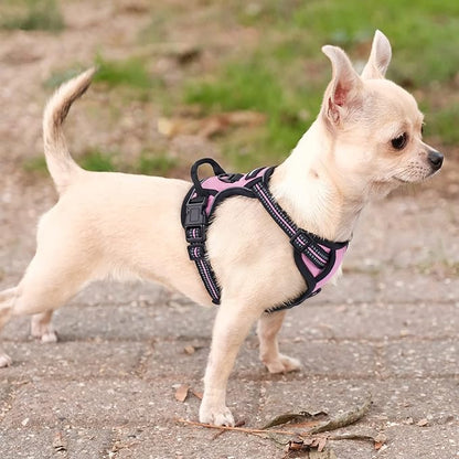 rabbitgoo Dog Harness No Pull with 2 Leash Clips, Adjustable Soft Padded, Reflective Oxford No Choke Pet Vest with Easy Control Handle for Puppy, Pink, XS