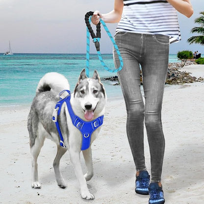 BARKBAY No Pull Dog Harness Large Reflective Dog Harness with Front Clip and Easy Control Handle for Walking Training Running with ID tag Pocket(Sapphire Blue,S)