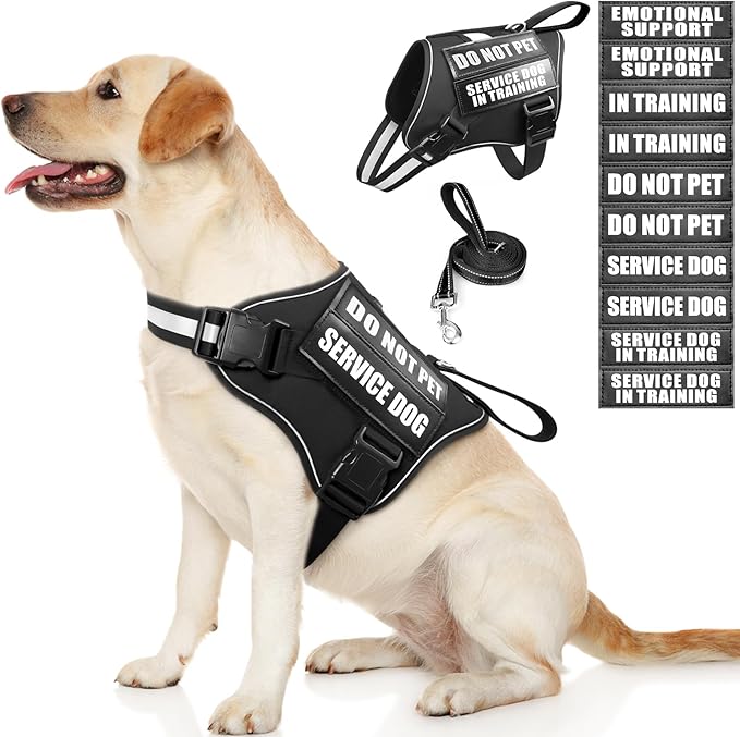 Service Dog Vest Harness and Leash Set+10 Patches,No Pull&Easy Walk Reflective Dog Harness with Soft Padded Handle for Training/Everyday,Fit Small/Medium/Large/Extra-Large Dogs (Black L)