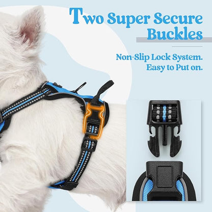 rabbitgoo Dog Harness No Pull with 2 Leash Clips, Adjustable Soft Padded, Reflective Oxford No Choke Pet Vest with Easy Control Handle for Puppy, Blue, XS
