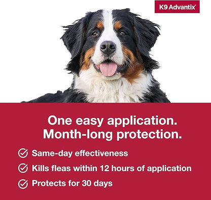 K9 Advantix Flea, Tick & Mosquito Prevention for Dogs Over 55 lbs. | Flea Drops for Extra Large Dogs | Apply Monthly | 2 Treatments