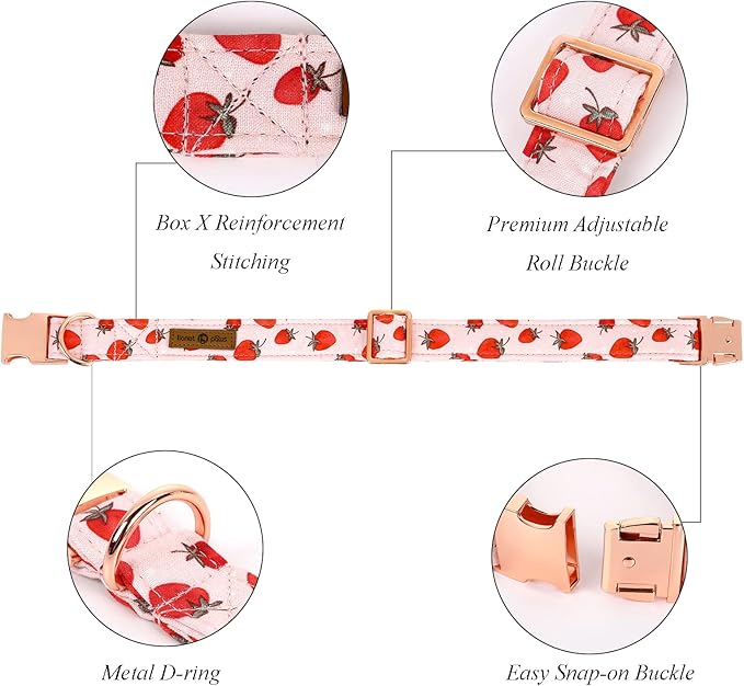 Lionet Paws Dog Collar, Comfortable Adjustable Cute Collar with Metal Buckle for Male Female Dogs Gift, Strawberry Pattern, Large, Neck 16-24 inches