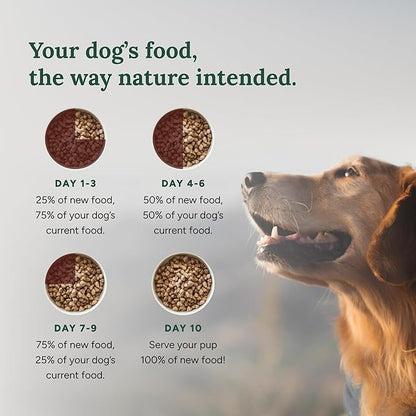 360 Pet Nutrition Raw Freeze-Dried Dog Food, High Protein, Balanced Meal w/Beef, Chicken,Organs, Whitefish, Omega-3, Fruit&Veg, Superfoods, No Fillers, 5 oz Food/Bites/Kibble (Multi Meat) Trial Size