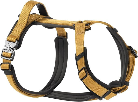 PawsPassion Dog Harness for Large Dogs, No Pull Dog Harness with Metal Hardware, Ergonomic Y-Shaped Design, Soft Padding, Padded Handle, Durable High-Tensile Nylon (Sunrise, L)