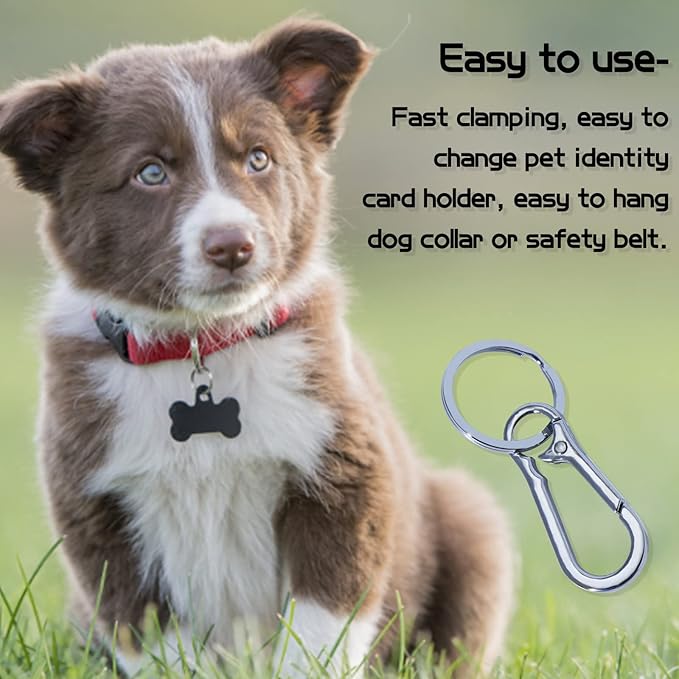 2-Pack Pet Tag Clips, Stainless Steel Dog Tag Quick Clips, Perfect for Dogs/Cats for Collar and Harness